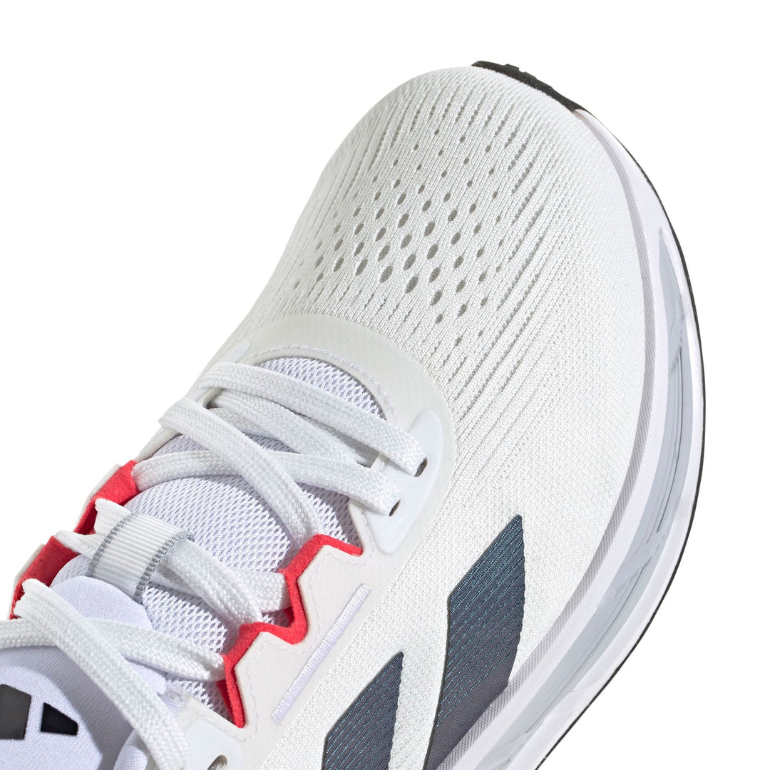 adidas Questar 3 M - ftwwht/cblack/purrub