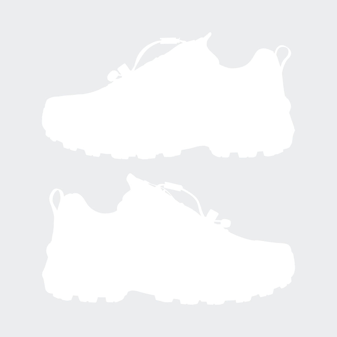 Adidas TERREX SKYCHASER GTX W - EARSTR/GREONE/SEFLAQ