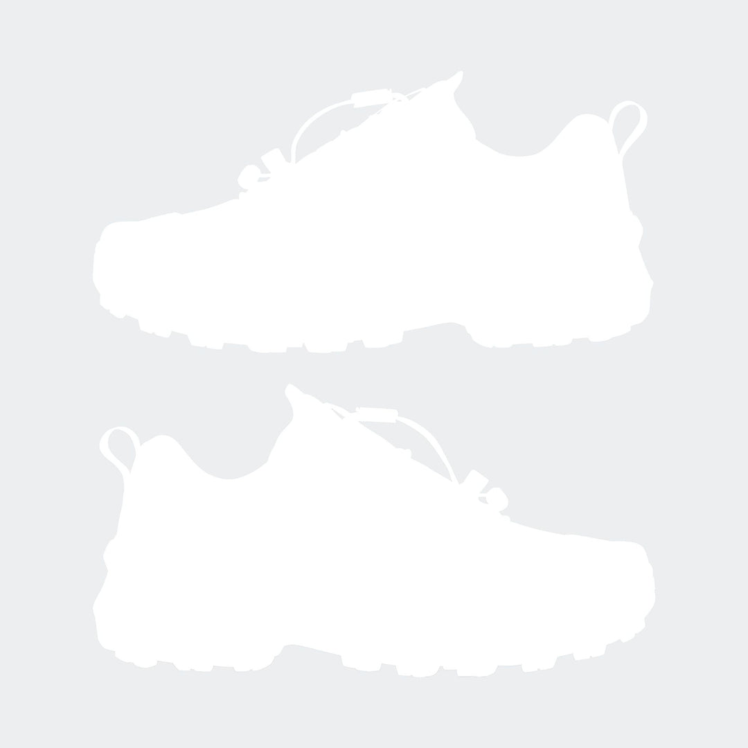 adidas Terrex Skychaser W - previo/msilve/dshgry