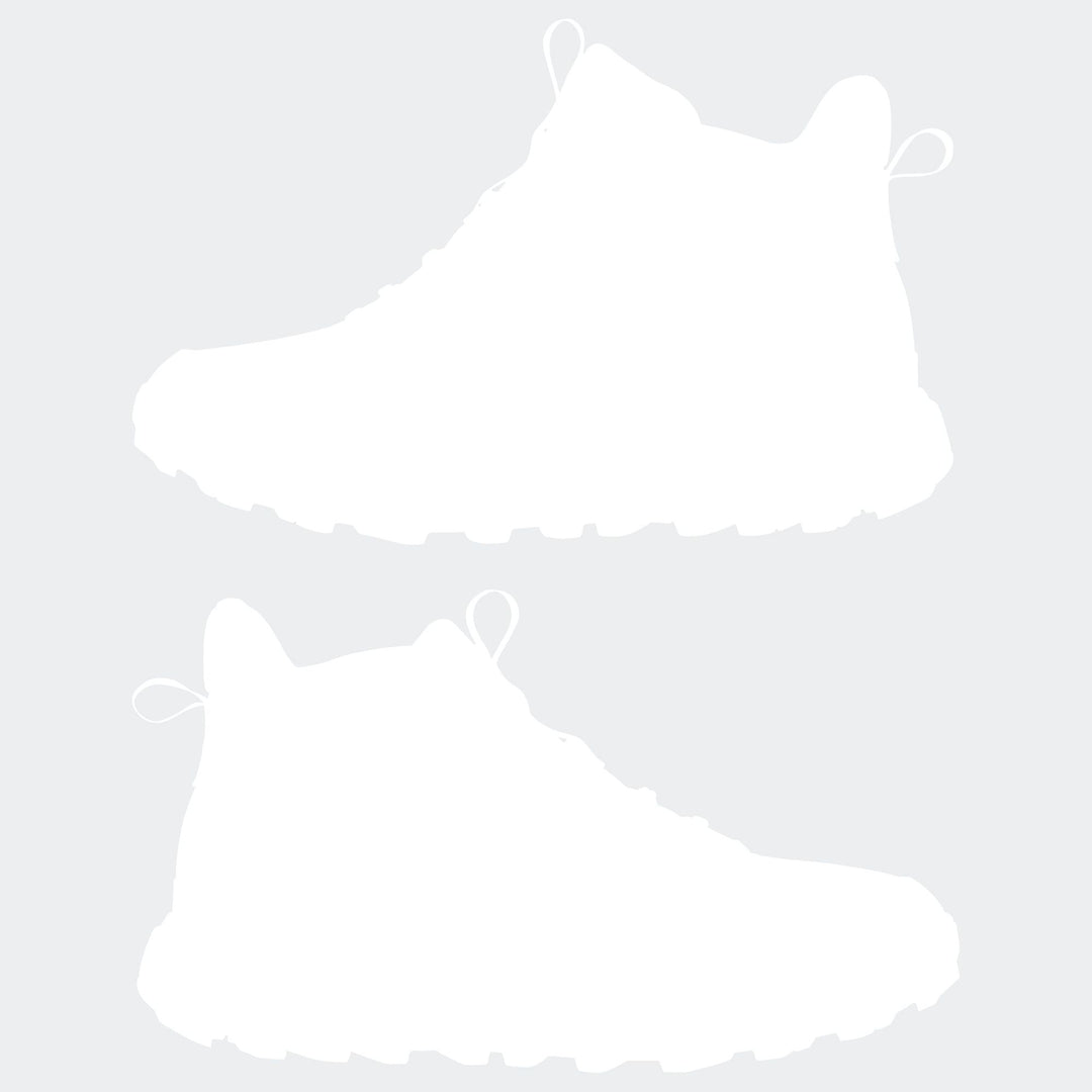 adidas Terrex Anylander Mid - cardbo/blacar/shaoli