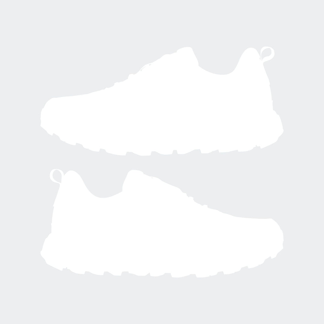 adidas Terrex Anylander R.Rdy - cardbo/cblack/shaoli