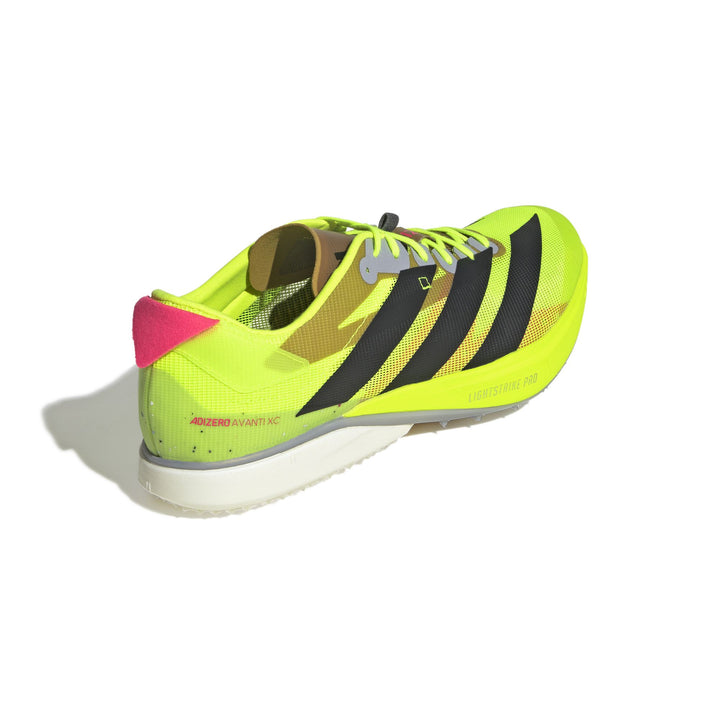 adidas Adizero Avanti Xc - luclem/cblack/lucred