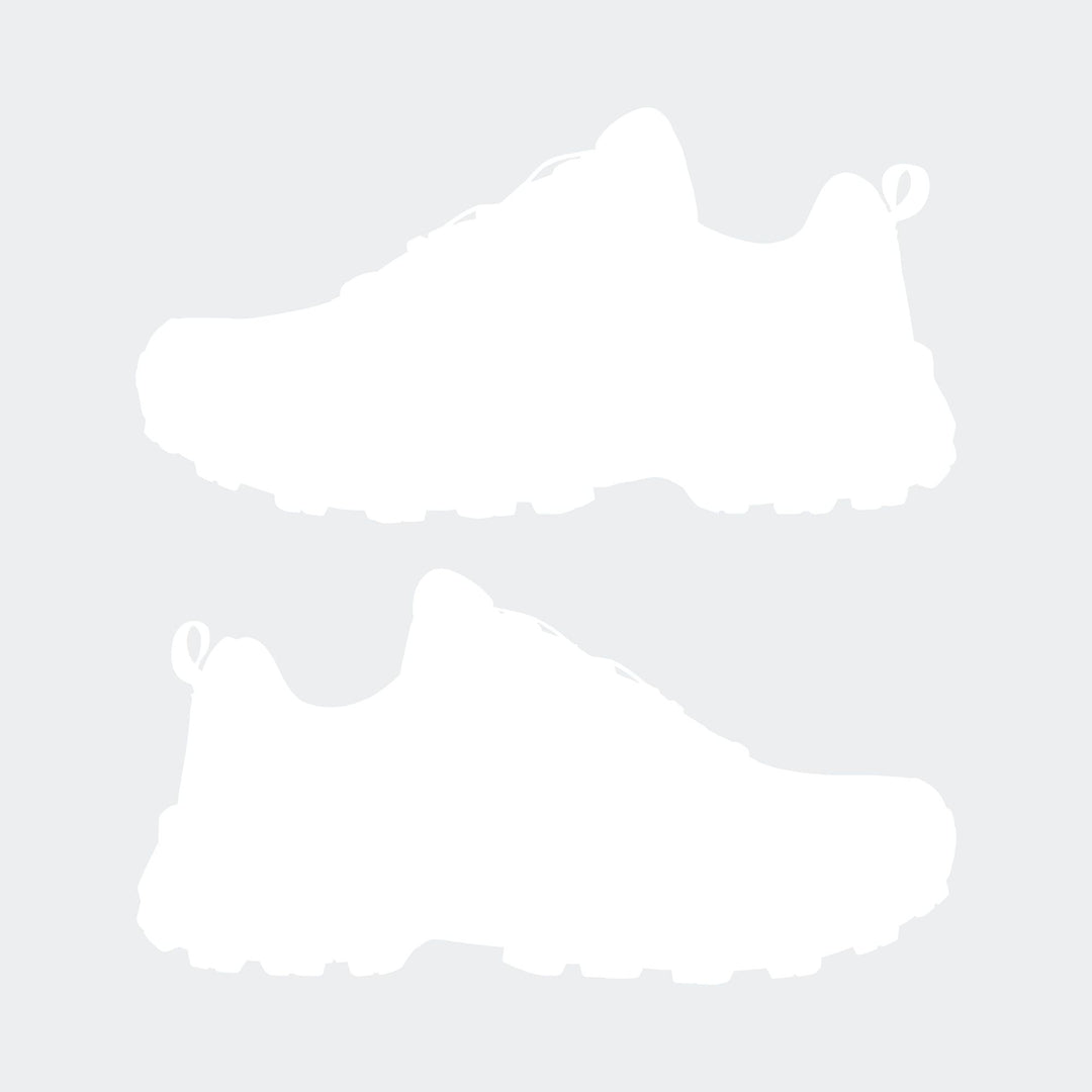 adidas Terrex Skychaser Ax5 Gtx - gresix/msilve/seimor