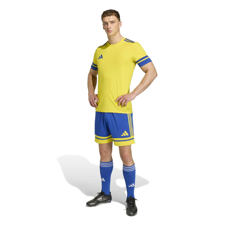 adidas Squadra 25 Jsy M - tmyell/royblu
