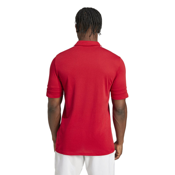 adidas Squadra 25 C Polo - tmpwrd/white