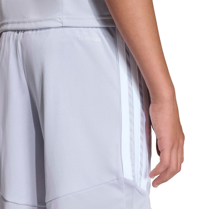 adidas Tiro26L  Trshoy - tmlggr/white