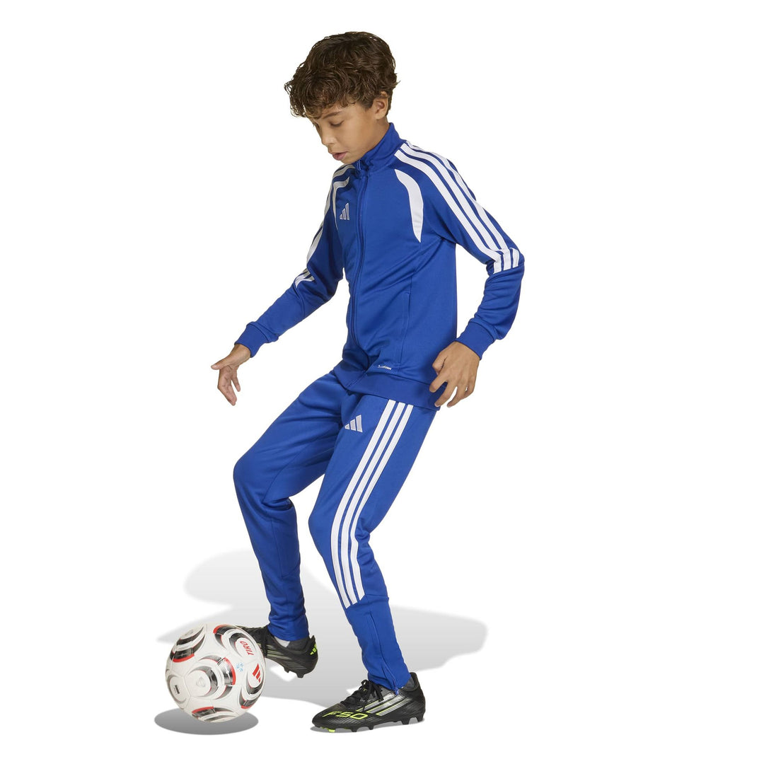 adidas Tiro26L Tr Jkty - royblu/white