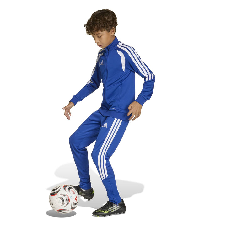 adidas Tiro26L Tr Jkty - royblu/white