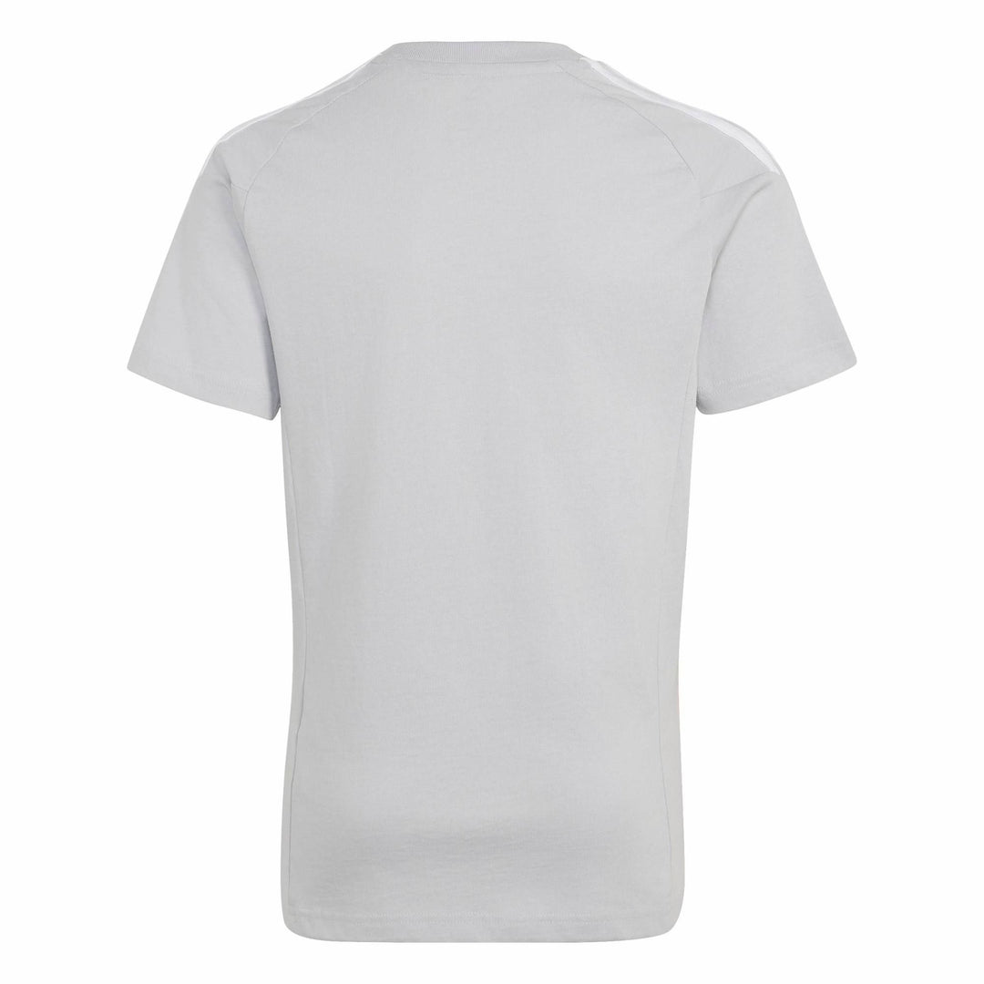 adidas Tiro26L Sw Teey - tmlggr/white