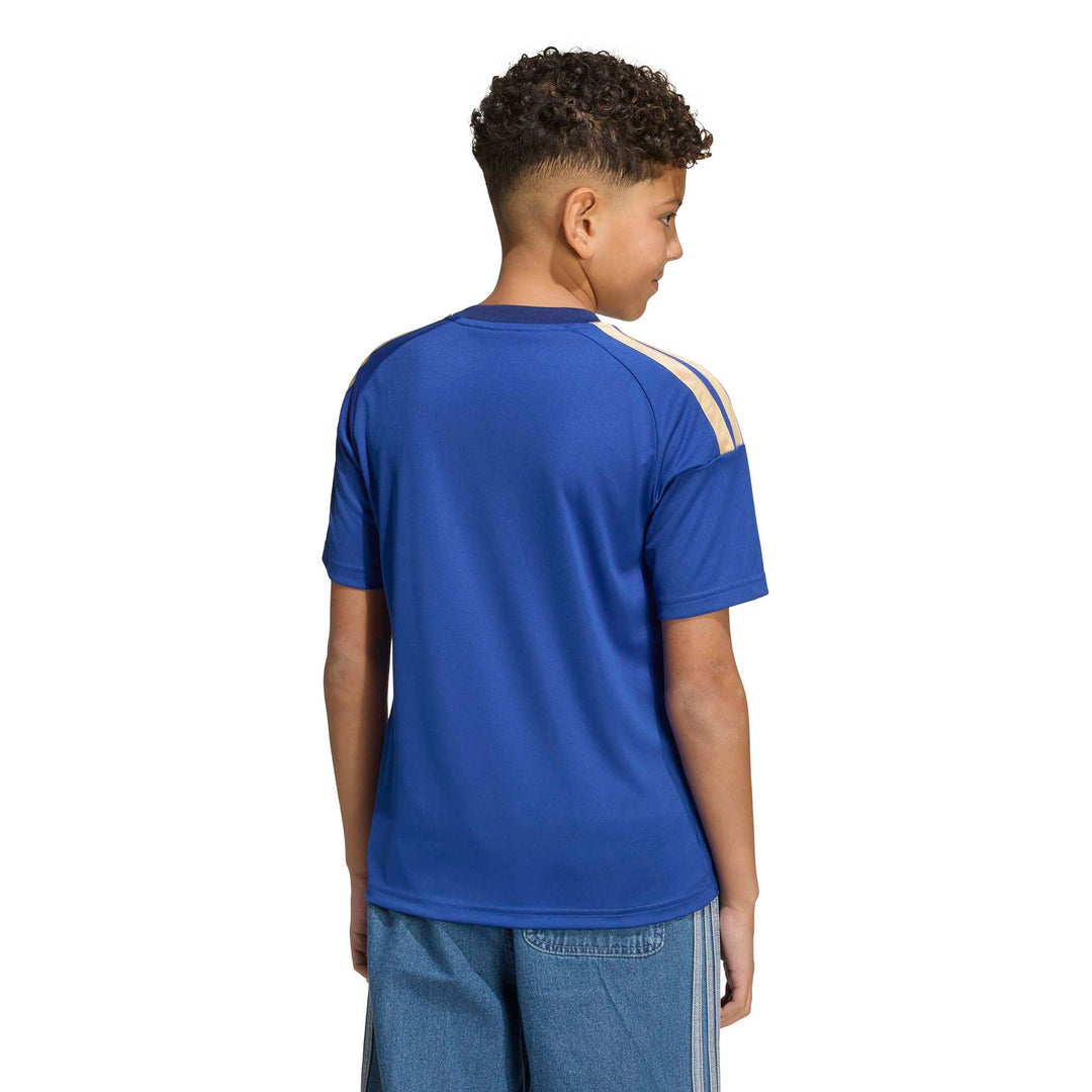 adidas Figc H Jsy Fany - boblue