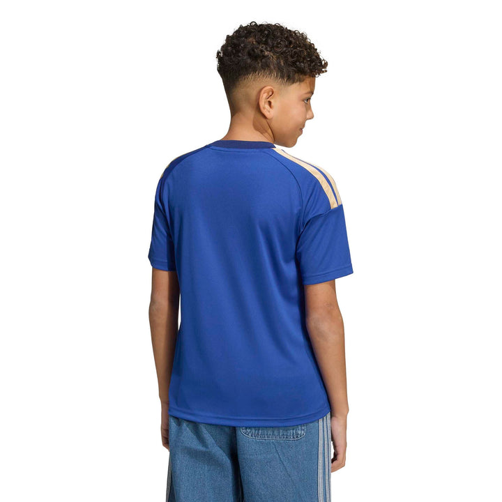 adidas Figc H Jsy Fany - boblue