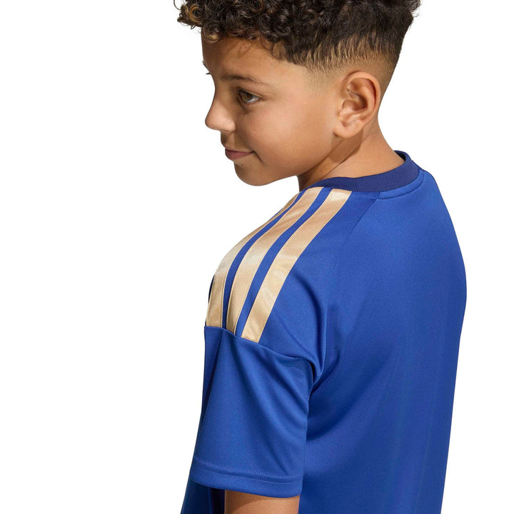 adidas Figc H Jsy Fany - boblue