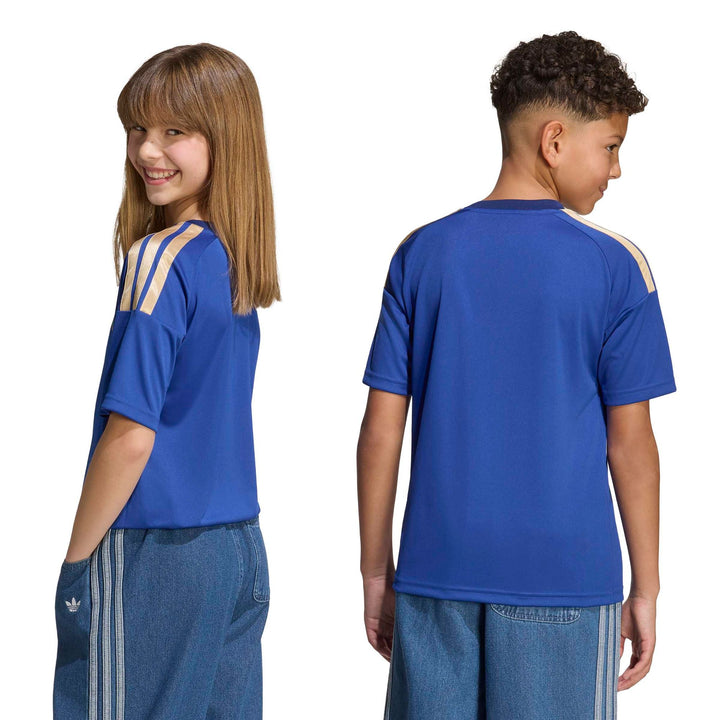 adidas Figc H Jsy Fany - boblue