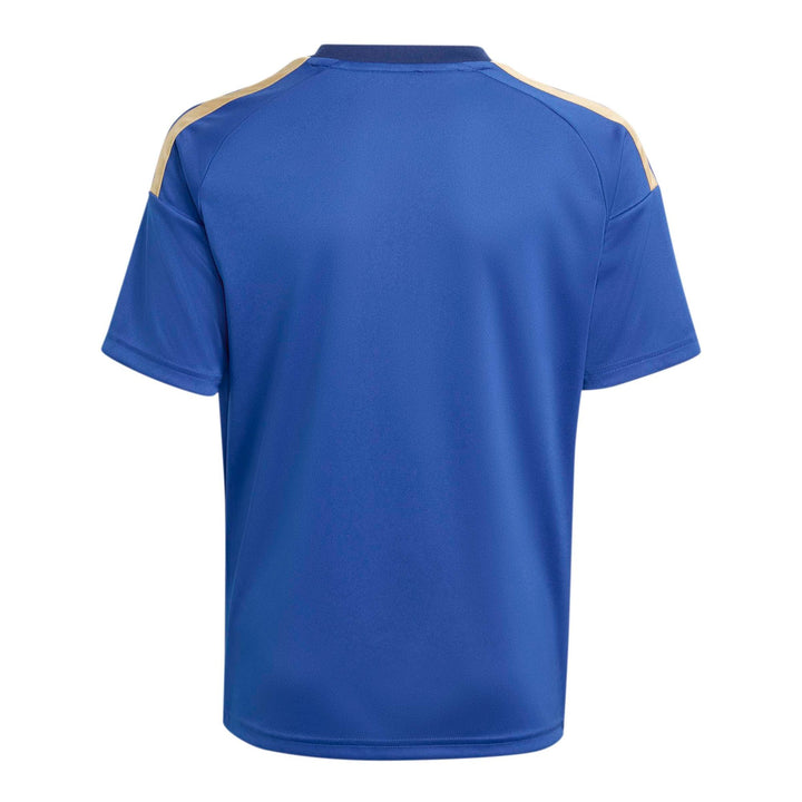 adidas Figc H Jsy Fany - boblue