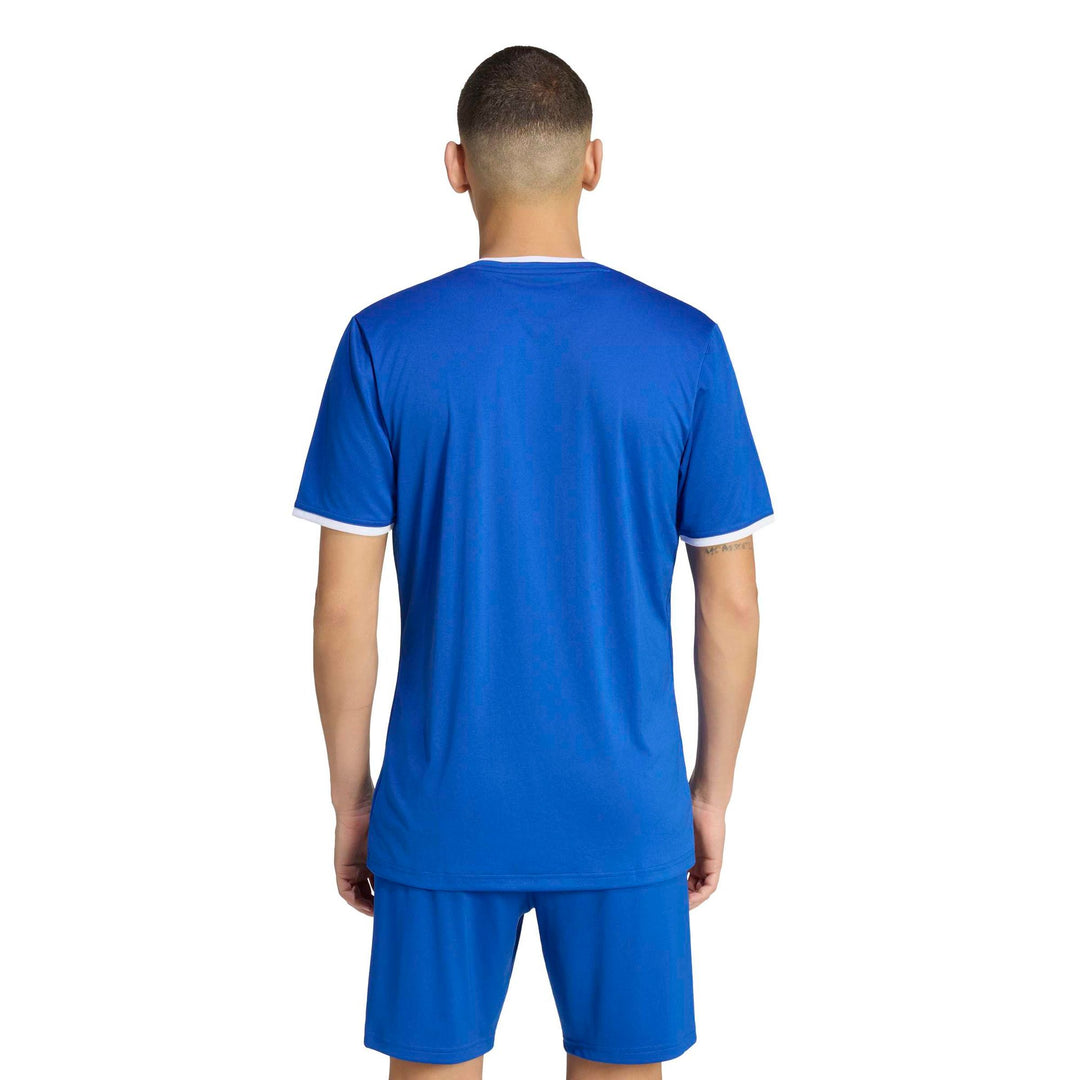 adidas Entrada 26 Jsy - royblu/white