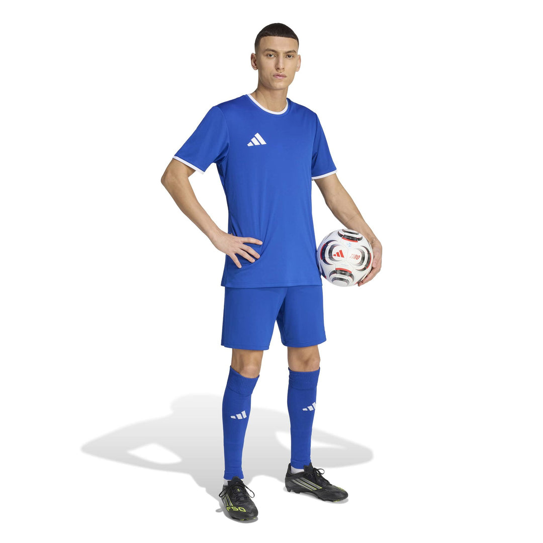adidas Entrada 26 Jsy - royblu/white