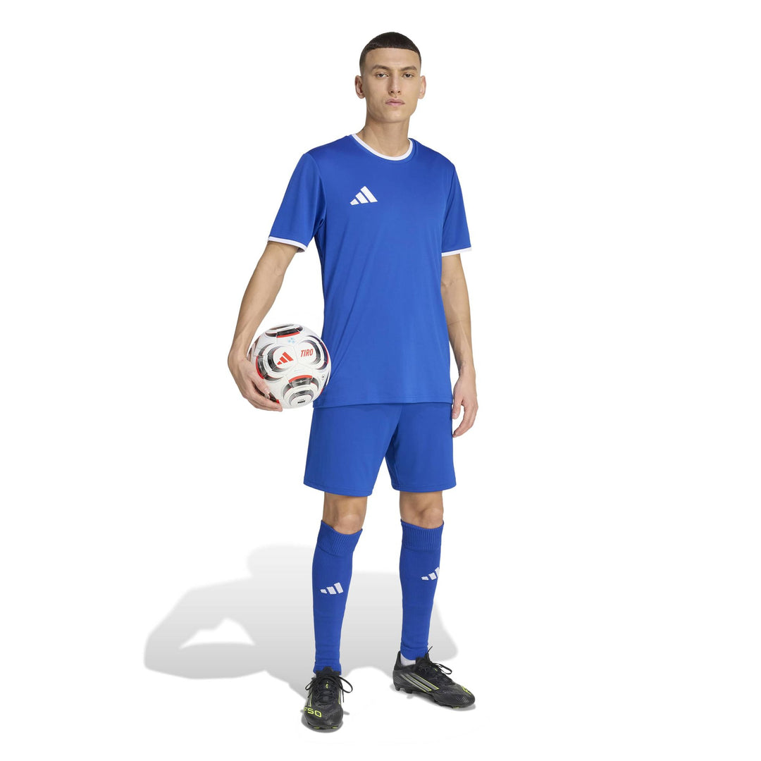 adidas Entrada 26 Jsy - royblu/white