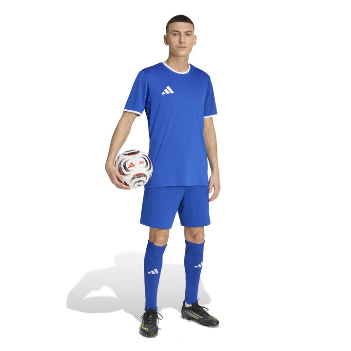 adidas Entrada 26 Jsy - royblu/white