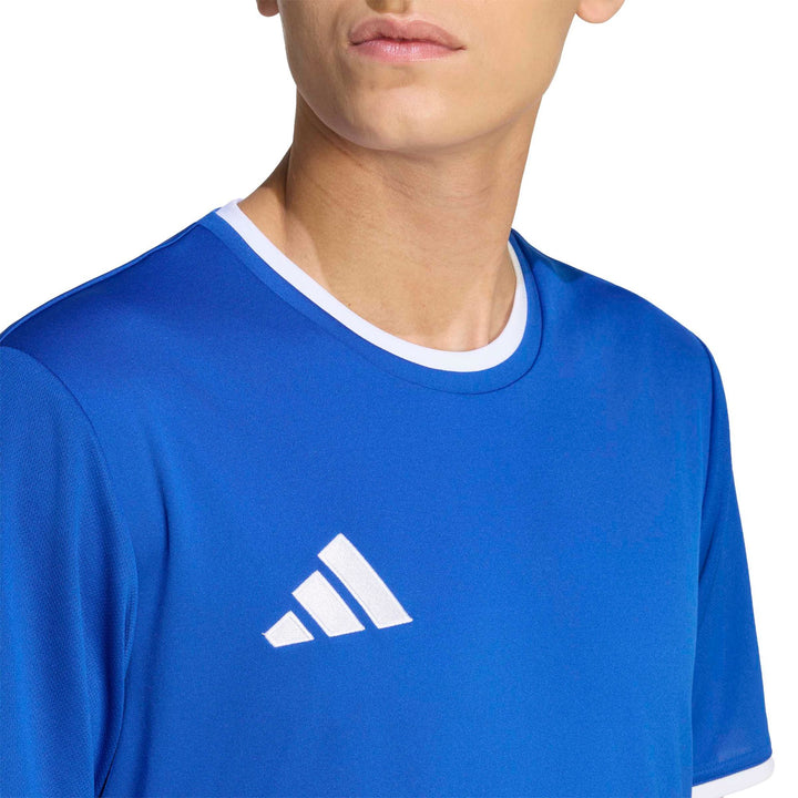 adidas Entrada 26 Jsy - royblu/white