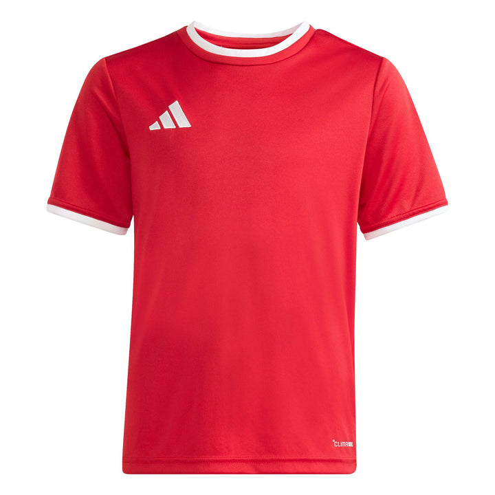 adidas Entrada 26 Jsy Y Kinder - tepore/white