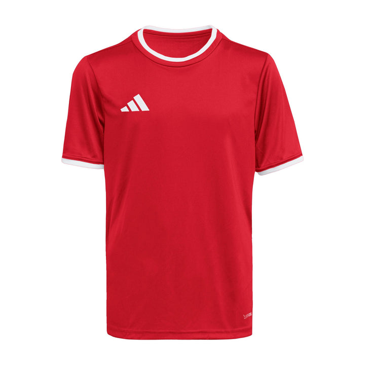 adidas Entrada 26 Jsy Y Kinder - tepore/white