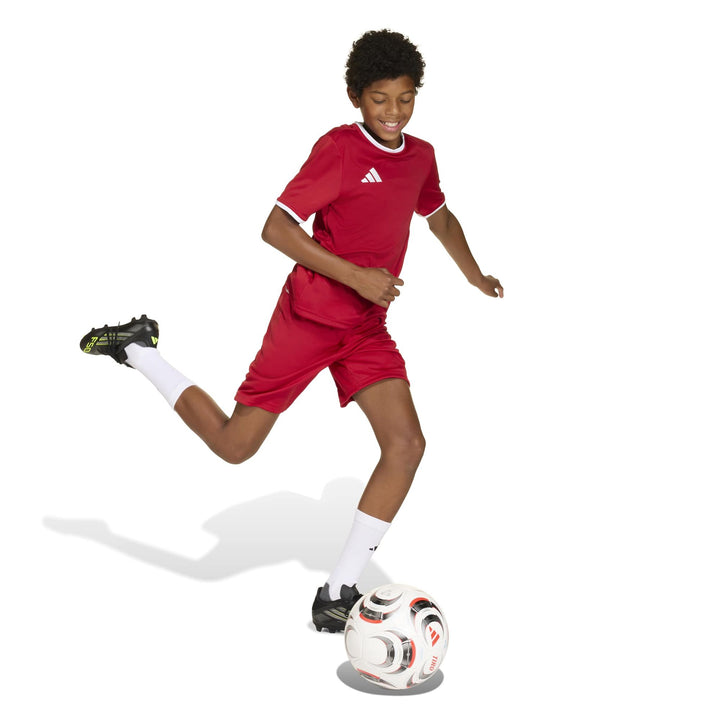 adidas Entrada 26 Jsy Y Kinder - tepore/white