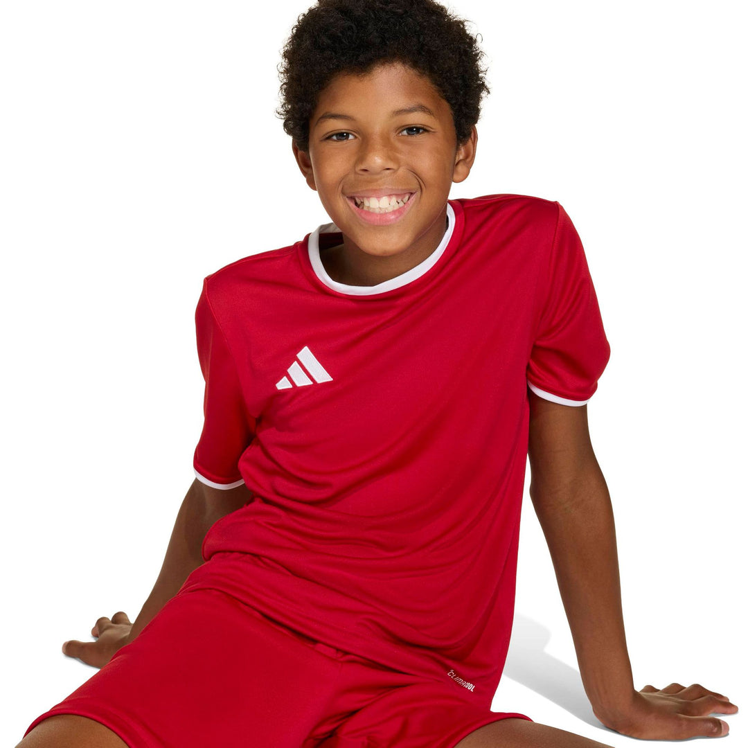 adidas Entrada 26 Jsy Y Kinder - tepore/white