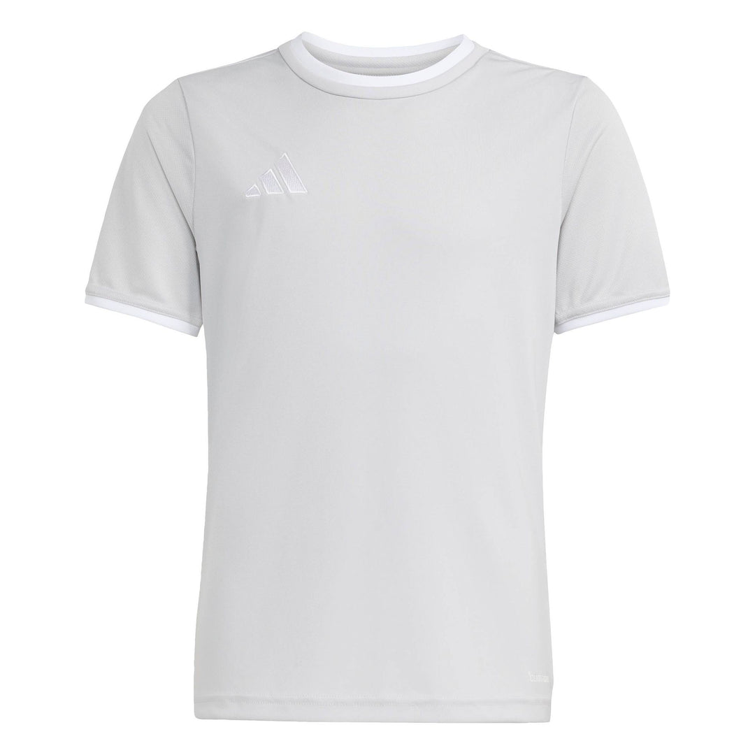 adidas Entrada 26 Jsy Y Kinder - tmlggr/white