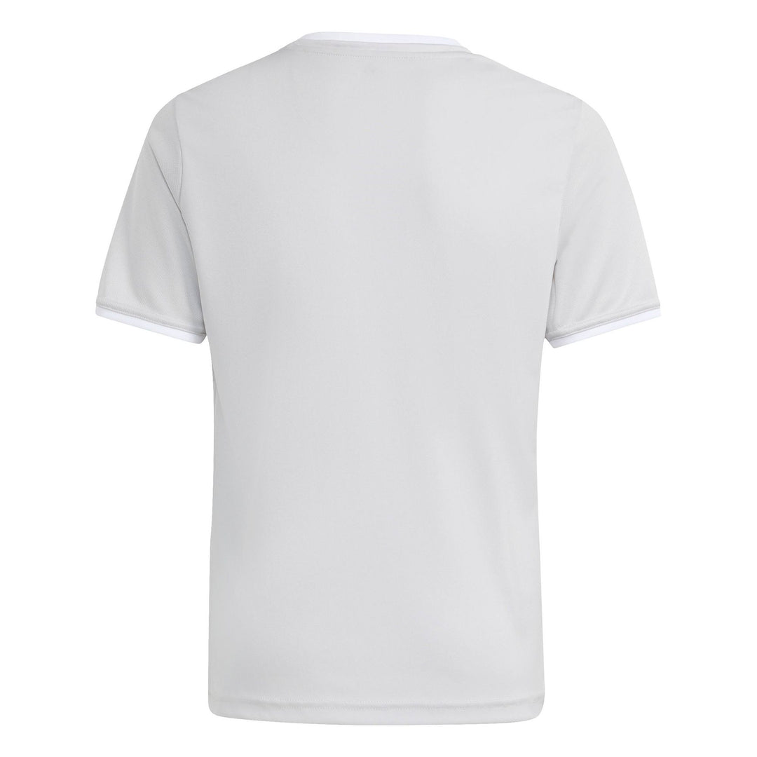 adidas Entrada 26 Jsy Y Kinder - tmlggr/white