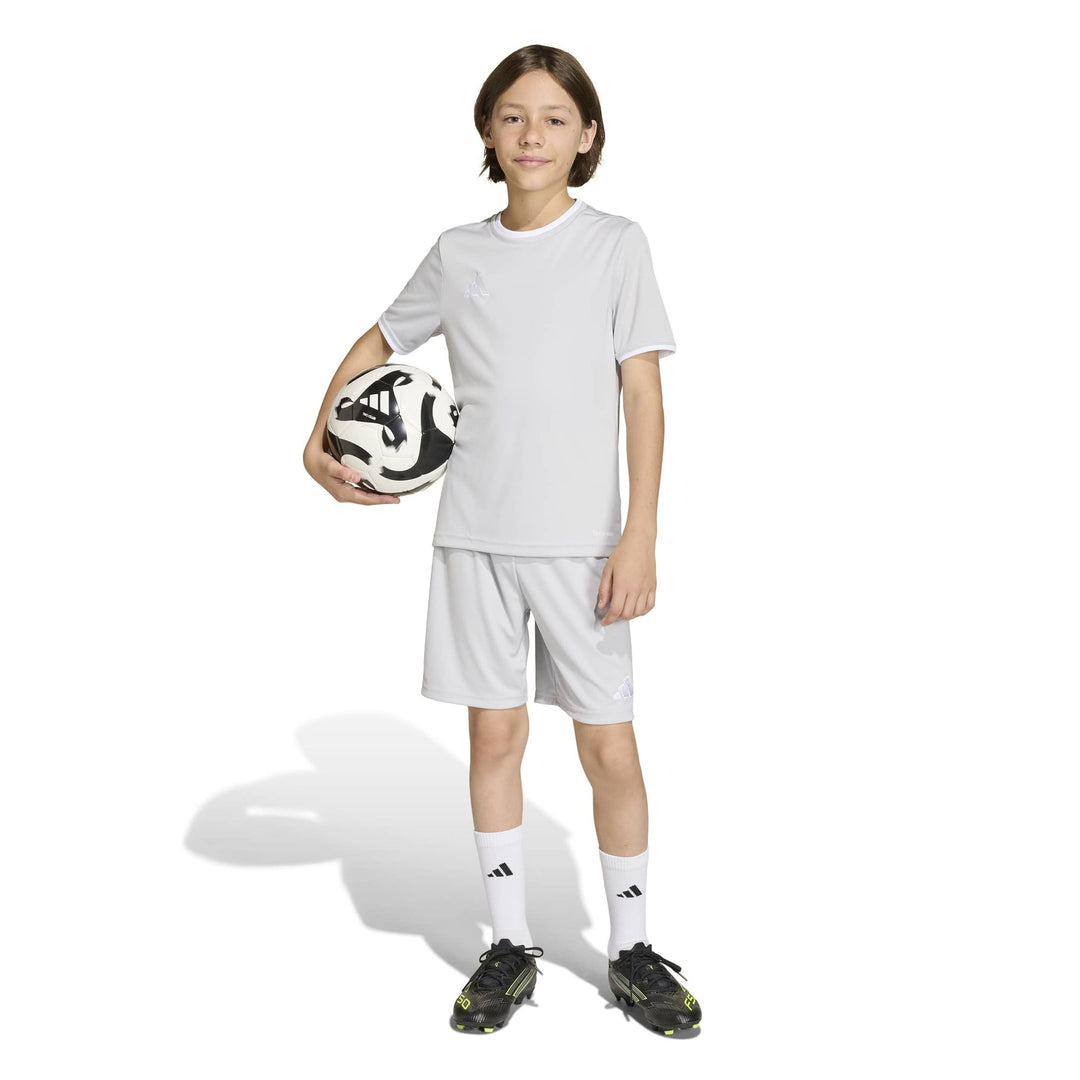 adidas Entrada 26 Jsy Y Kinder - tmlggr/white