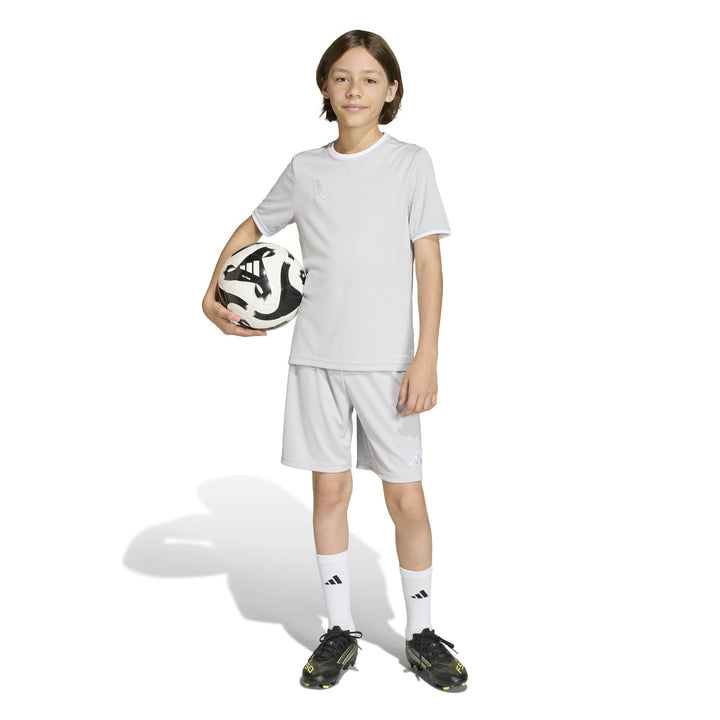 adidas Entrada 26 Jsy Y Kinder - tmlggr/white