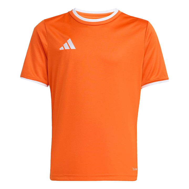 adidas Entrada 26 Jsy Y Kinder - teaora/white
