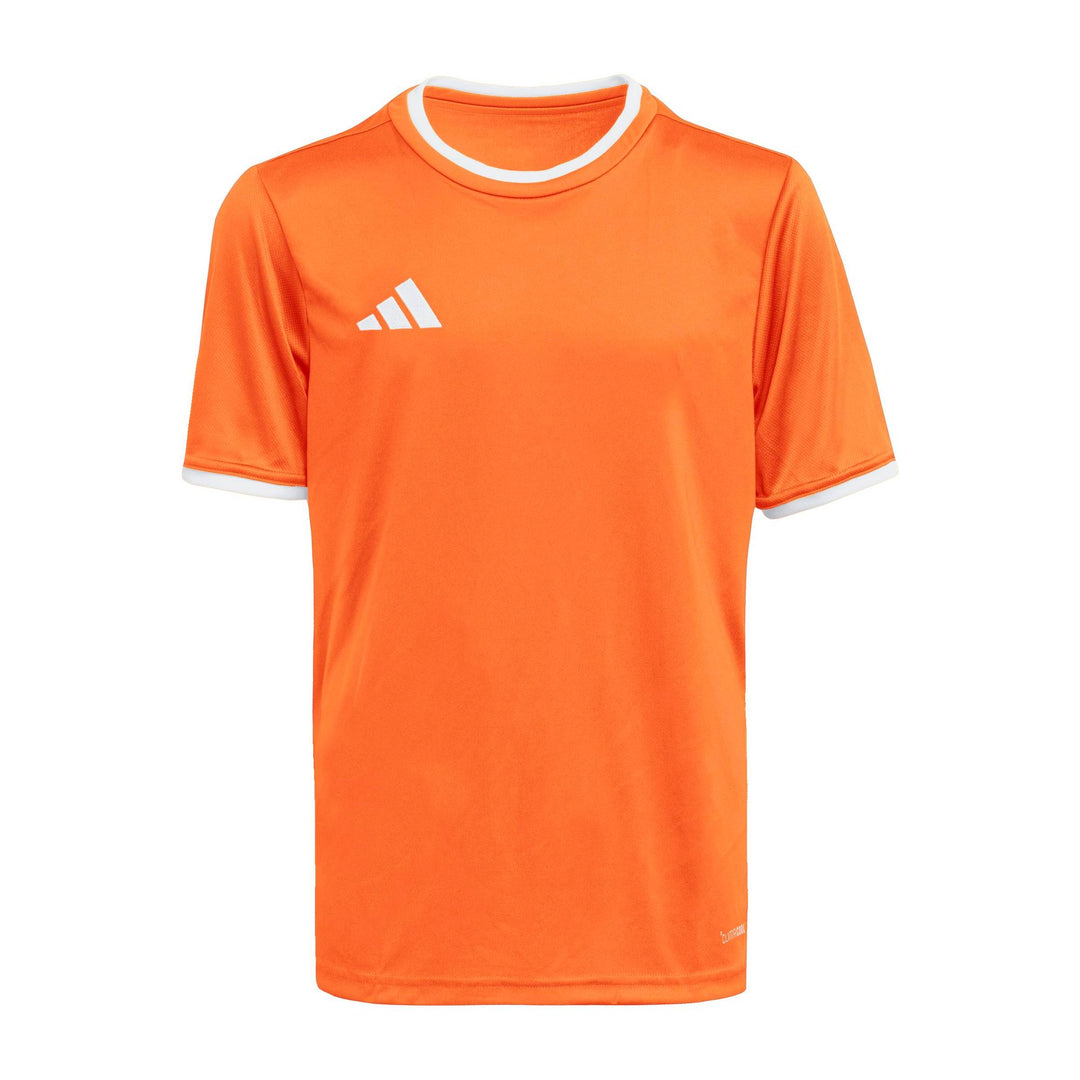 adidas Entrada 26 Jsy Y Kinder - teaora/white