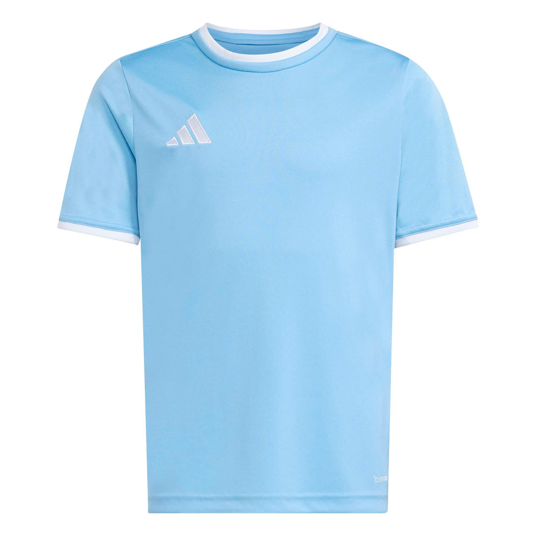 adidas Entrada 26 Jsy Y Kinder - tmlgbl/white