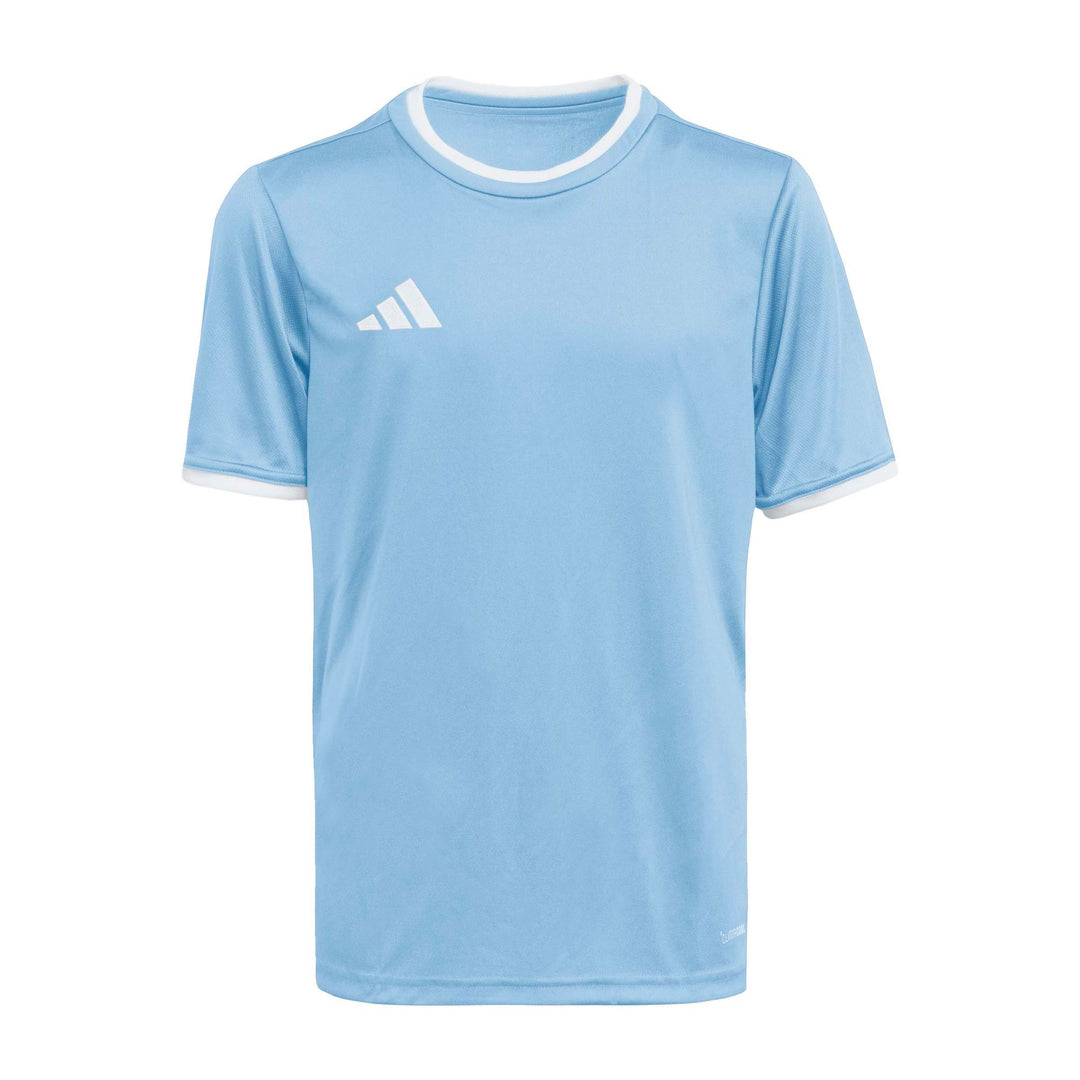 adidas Entrada 26 Jsy Y Kinder - tmlgbl/white