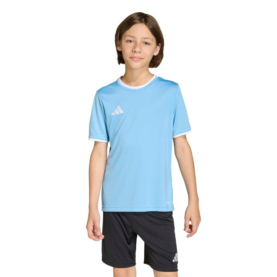 adidas Entrada 26 Jsy Y Kinder - tmlgbl/white