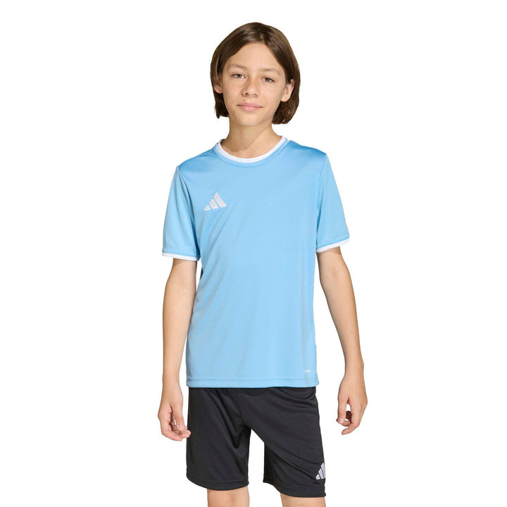 adidas Entrada 26 Jsy Y Kinder - tmlgbl/white