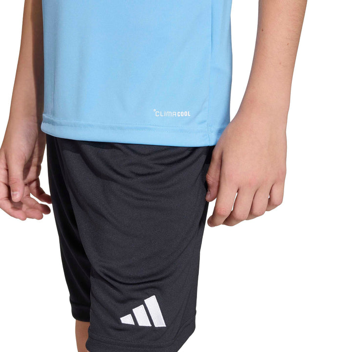 adidas Entrada 26 Jsy Y Kinder - tmlgbl/white