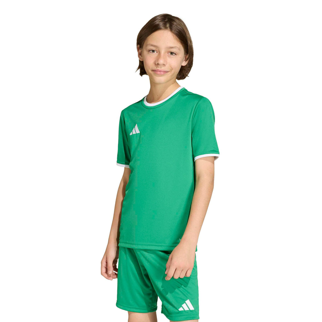adidas Entrada 26 Jsy Y Kinder - teagrn/white