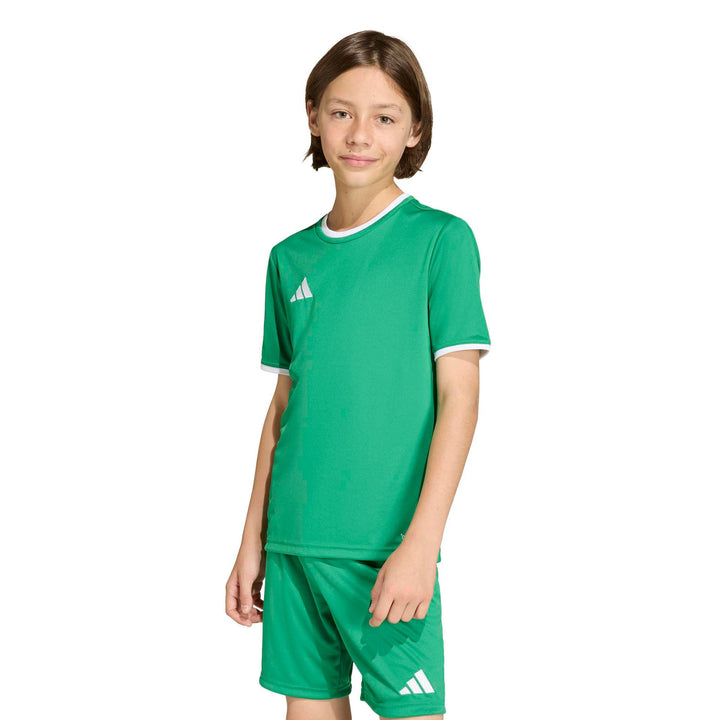 adidas Entrada 26 Jsy Y Kinder - teagrn/white