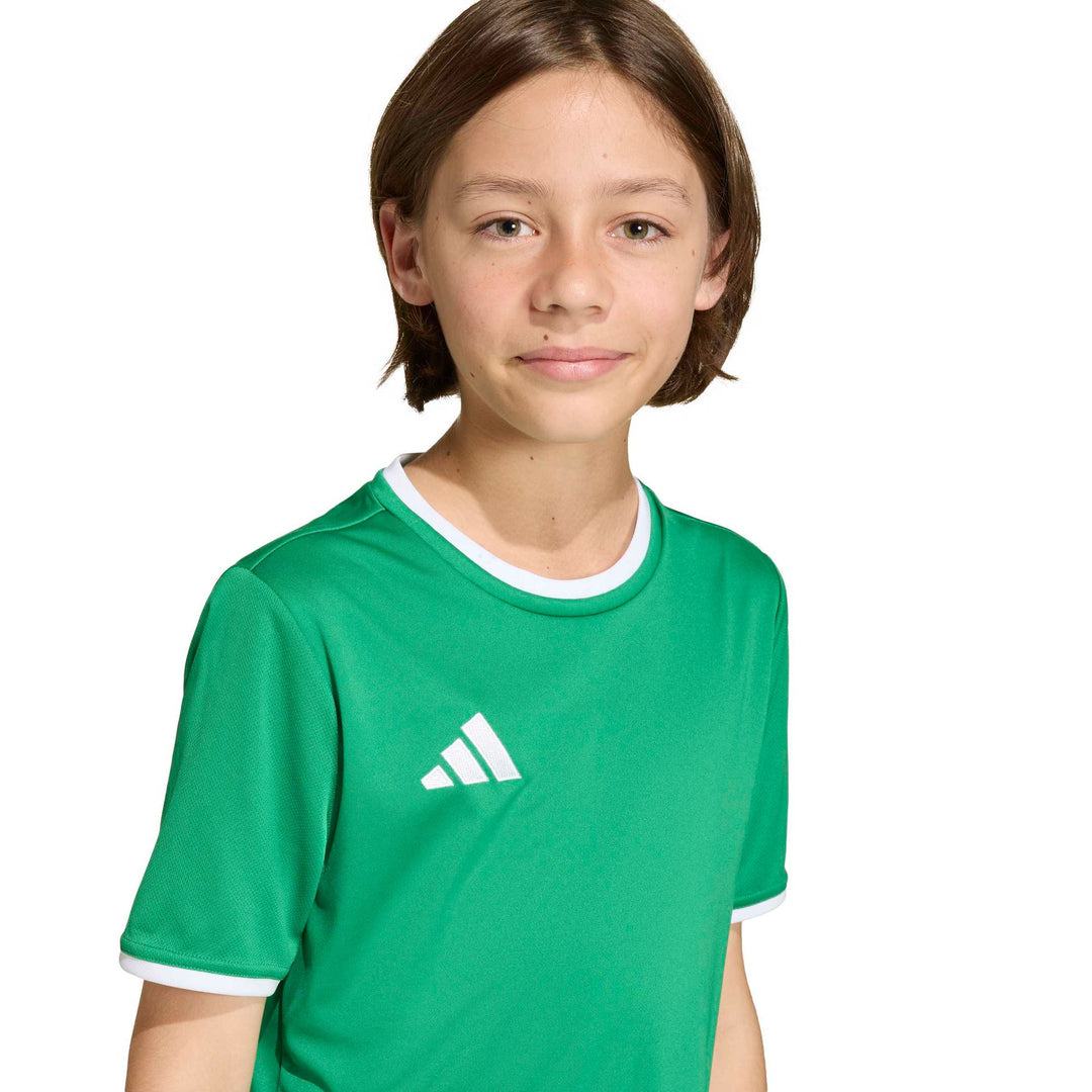 adidas Entrada 26 Jsy Y Kinder - teagrn/white