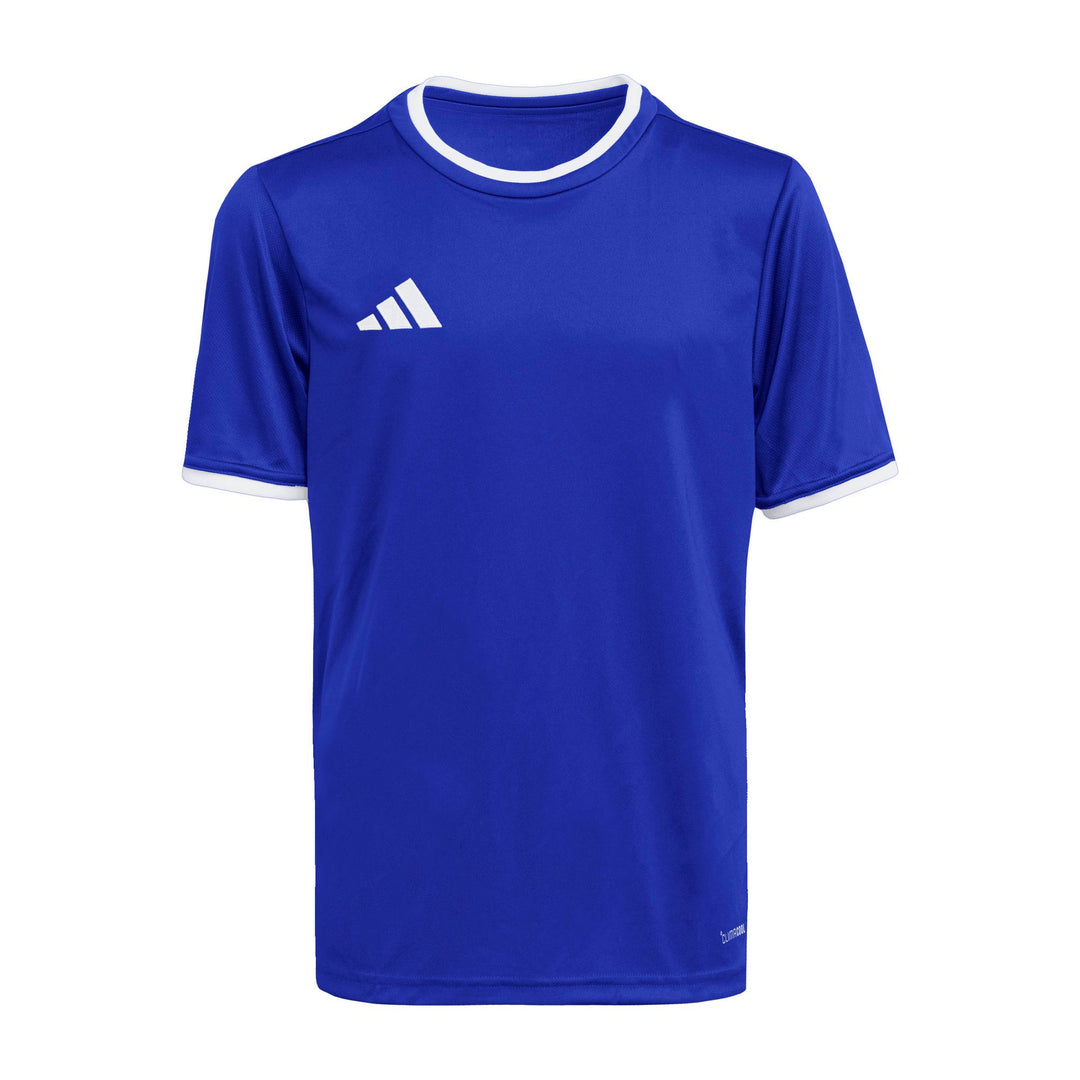 adidas Entrada 26 Jsy Y Kinder - royblu/white