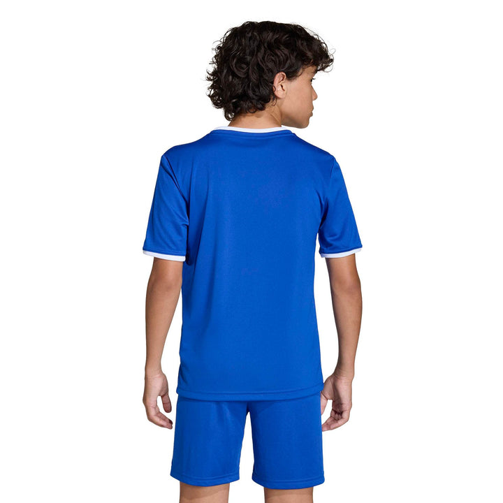 adidas Entrada 26 Jsy Y Kinder - royblu/white