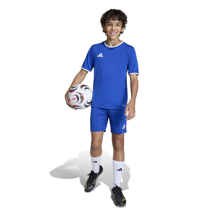 adidas Entrada 26 Jsy Y Kinder - royblu/white