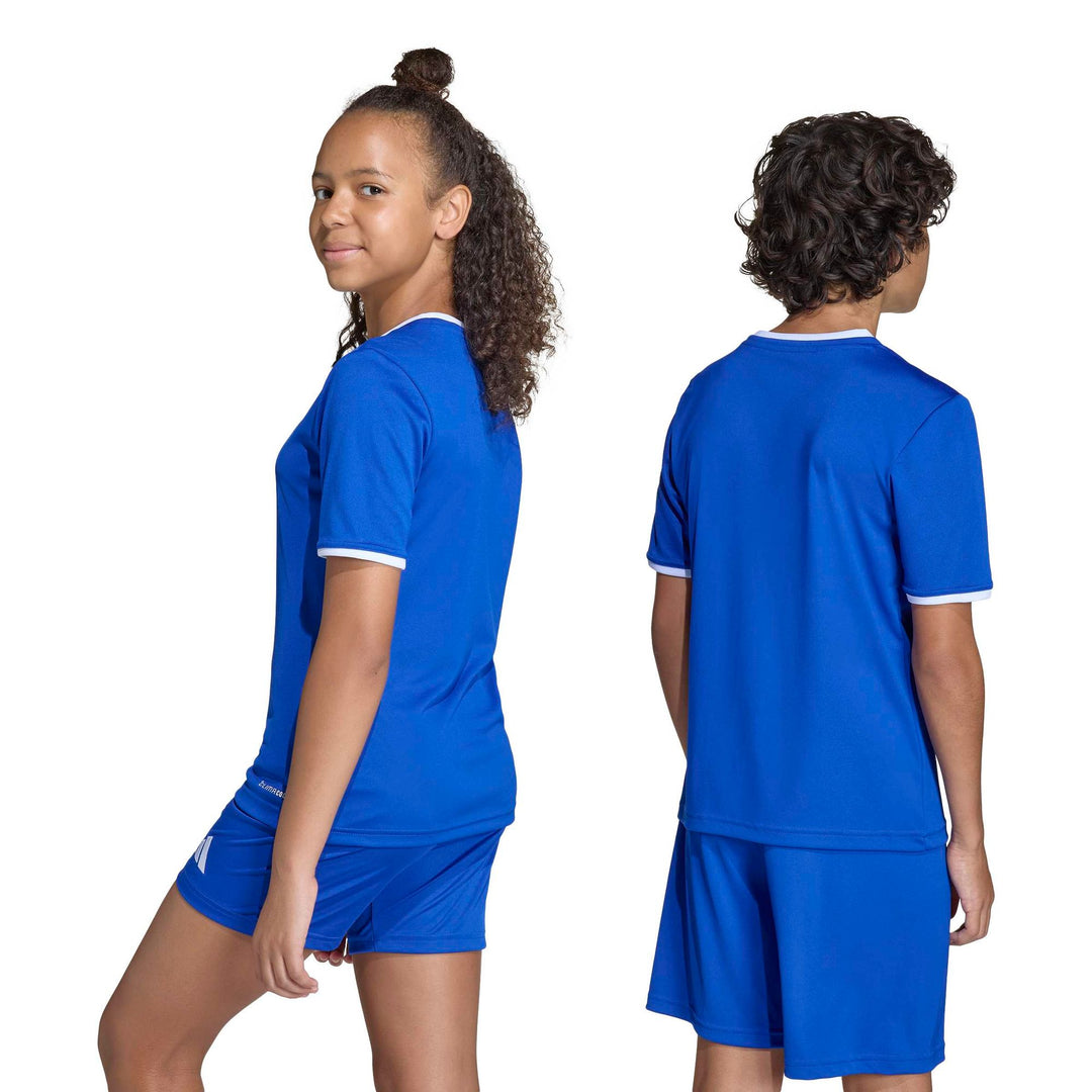 adidas Entrada 26 Jsy Y Kinder - royblu/white