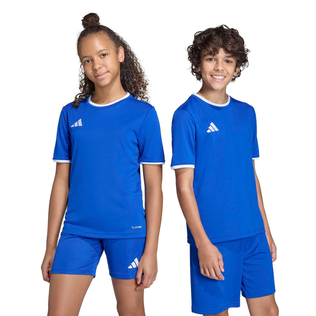 adidas Entrada 26 Jsy Y Kinder - royblu/white