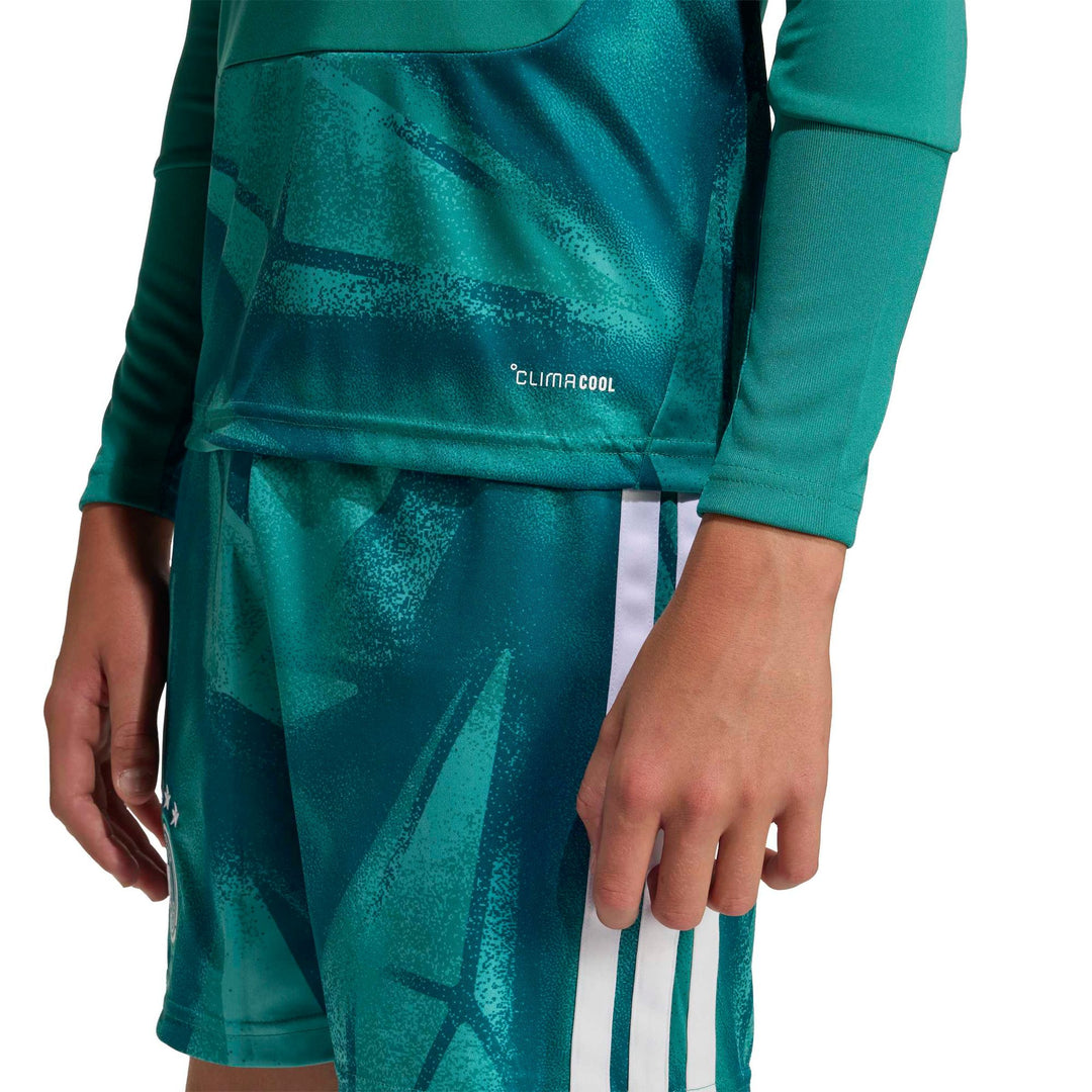 adidas Dfb H Gk Jsy Ly - actgrn