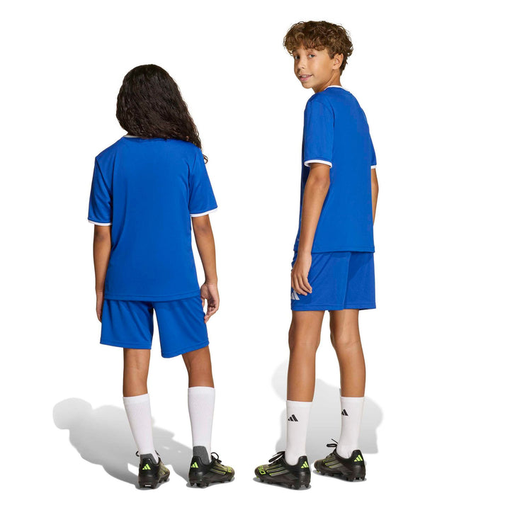 adidas Entrada 26 Sho Y Kinder - royblu/white