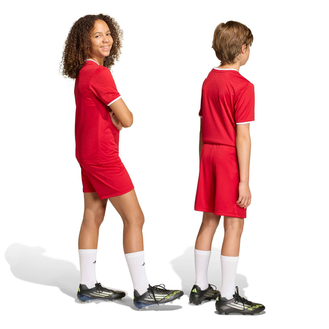 adidas Entrada 26 Sho Y Kinder - tepore/white