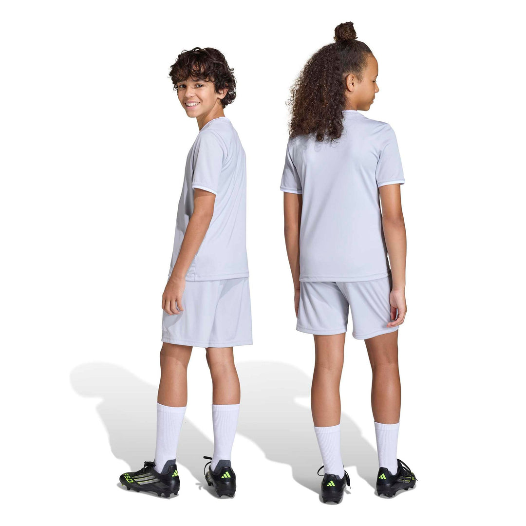 adidas Entrada 26 Sho Y Kinder - tmlggr/white
